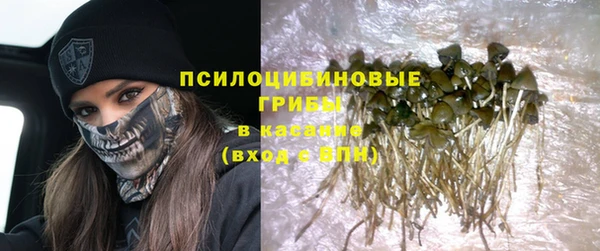ECSTASY Нея